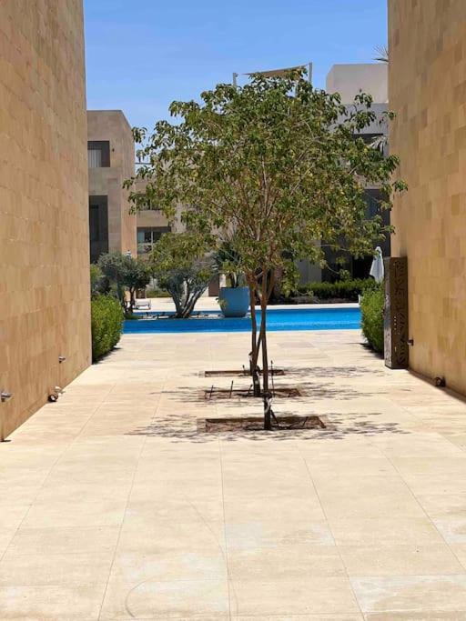 Apartament One Bedroom - Mangroovy El Gouna *